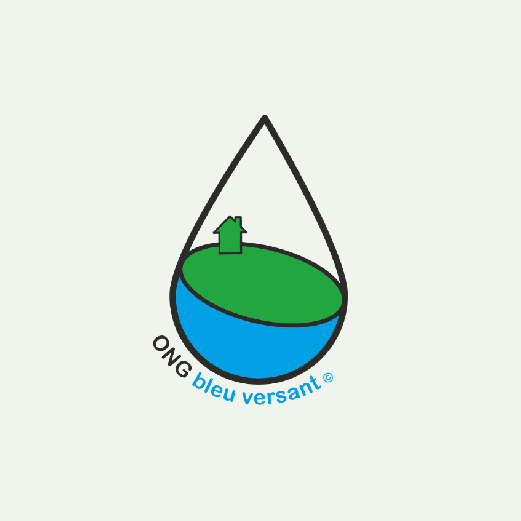 ong_bleuversant_client_agence_sphere_communication_video